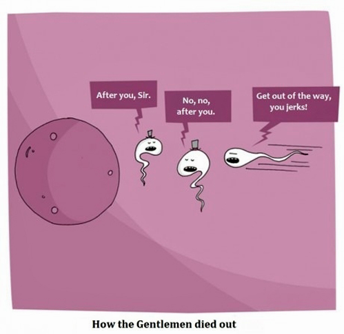 How Gentlemen died out