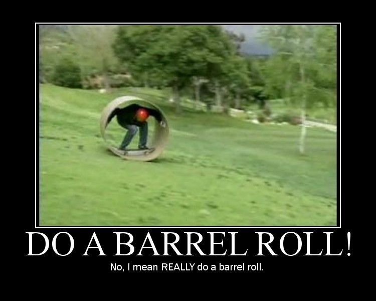 Do a Barrel Roll Motivational Poster