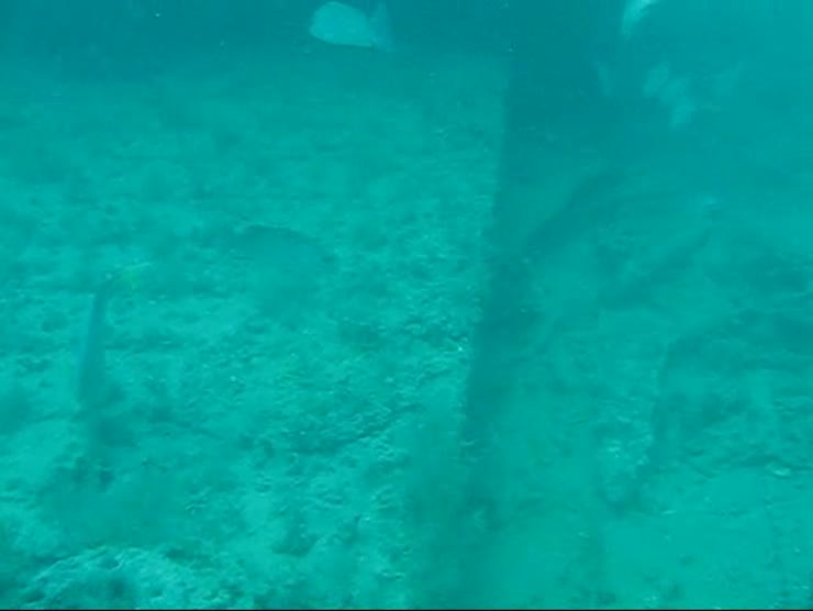 A quick tour of the Landing Craft wreck in 60ft of water.  Could have had better vis that day though.