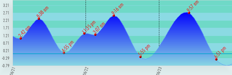 Cortez, FL Tides for the Next 36 Hours