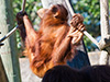 Doing His Stretches