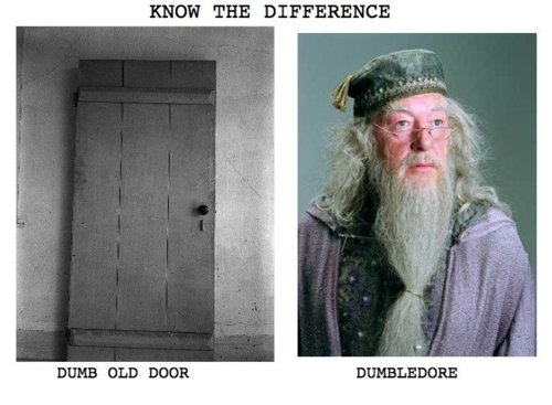 Dumb Old Door vs Dumbledore