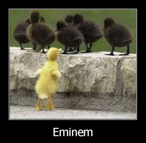 Eminem Ducklings