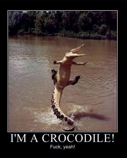 Crocodile Motivational Poster