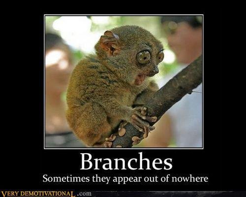 Branches Motivational Poster