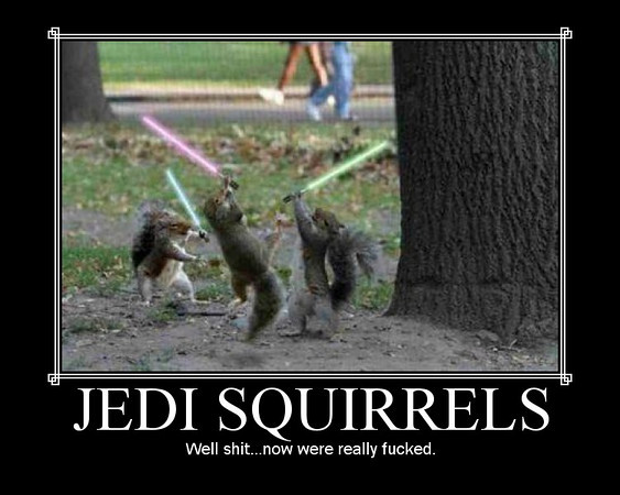 Jedi Squirrels Motivational Poster