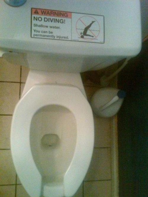 No Diving in Toilet